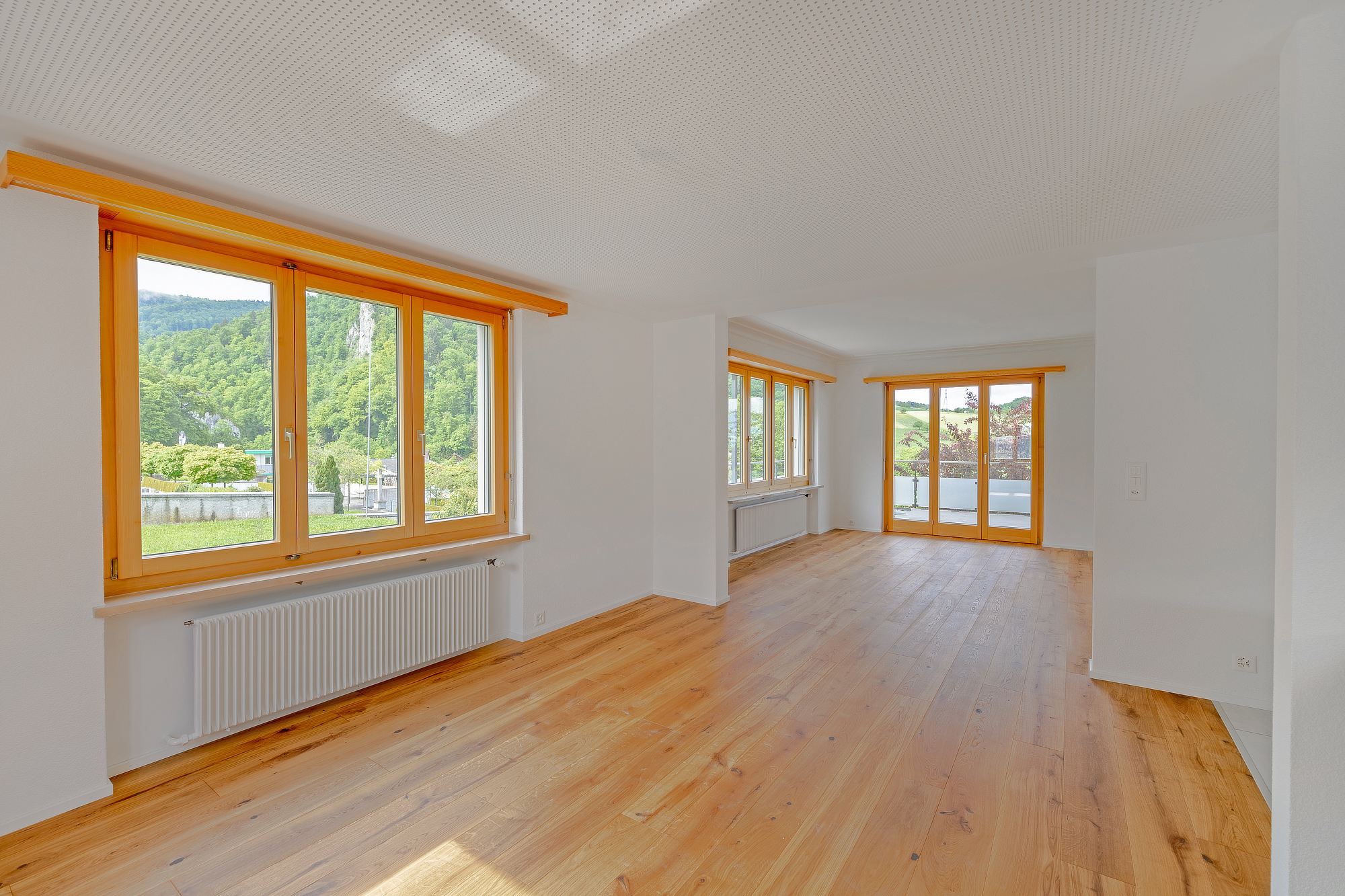 Umbau Pfarrhaus, Büsserach